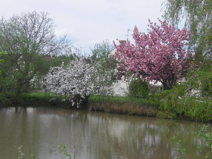 Location de vacances pour 4 personnes, avec jardin à Jouy-le-Potier - 2