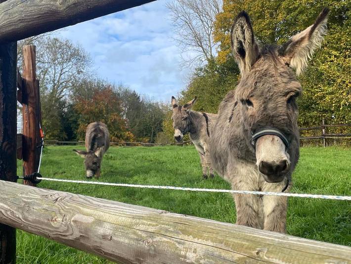 Location de vacances pour 5 personnes, avec jardin à Livry - 2