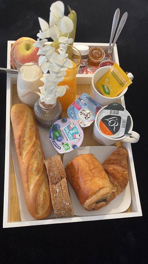 Location de vacances pour 14 personnes, avec vue et jardin à Brest - 2