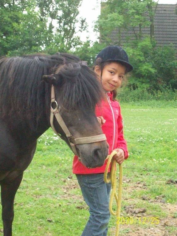 Landhaus für 2 Personen, mit Garten und Ausblick, kinderfreundlich in Nordfriesland - 3