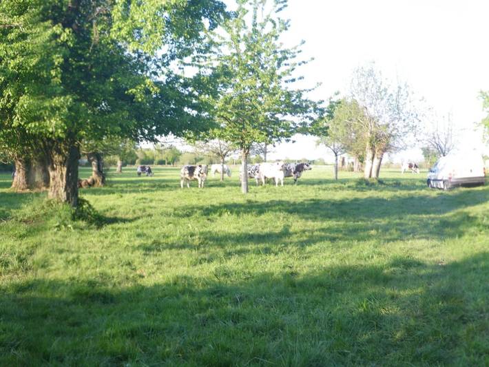 "La Petite Cauvinière" in Región de Argentan