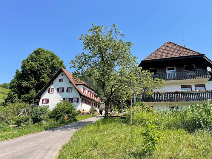 Gîte pour 4 personnes, avec jardin à Glottertal - 2