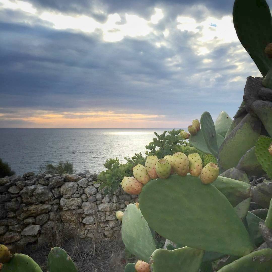 La Marchesa di Castiglione in Andrano, Provincia di Lecce