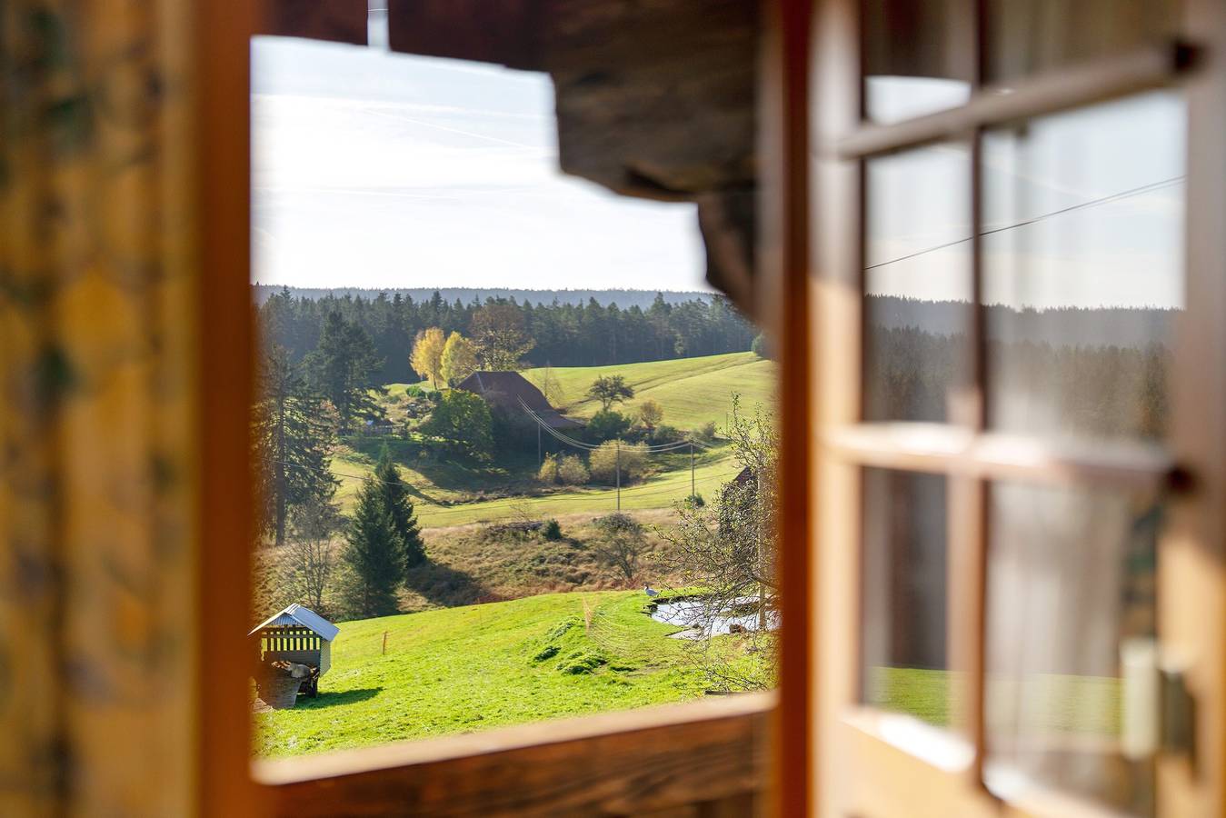Ferienwohnung 'Bauernhaus' mit Balkon und Wlan in Hornberg, Mittlerer Schwarzwald
