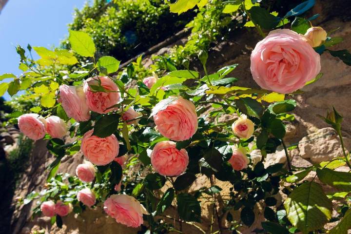 Maison d’hôte pour 2 personnes, avec jardin et vue à Saint-Rémy-de-Provence - 3