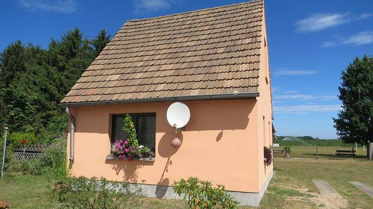 Ferienhaus für 3 Personen (30 m²) in Priepert in Priepert, Mecklenburg-Strelitz