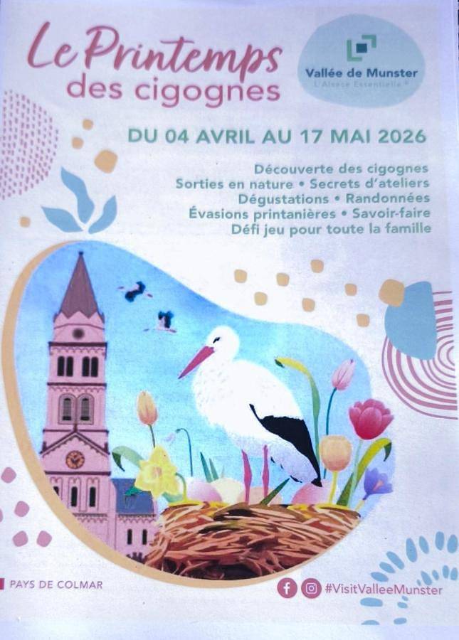 Location de vacances pour 6 personnes, avec jardin et vue à Munster - 2