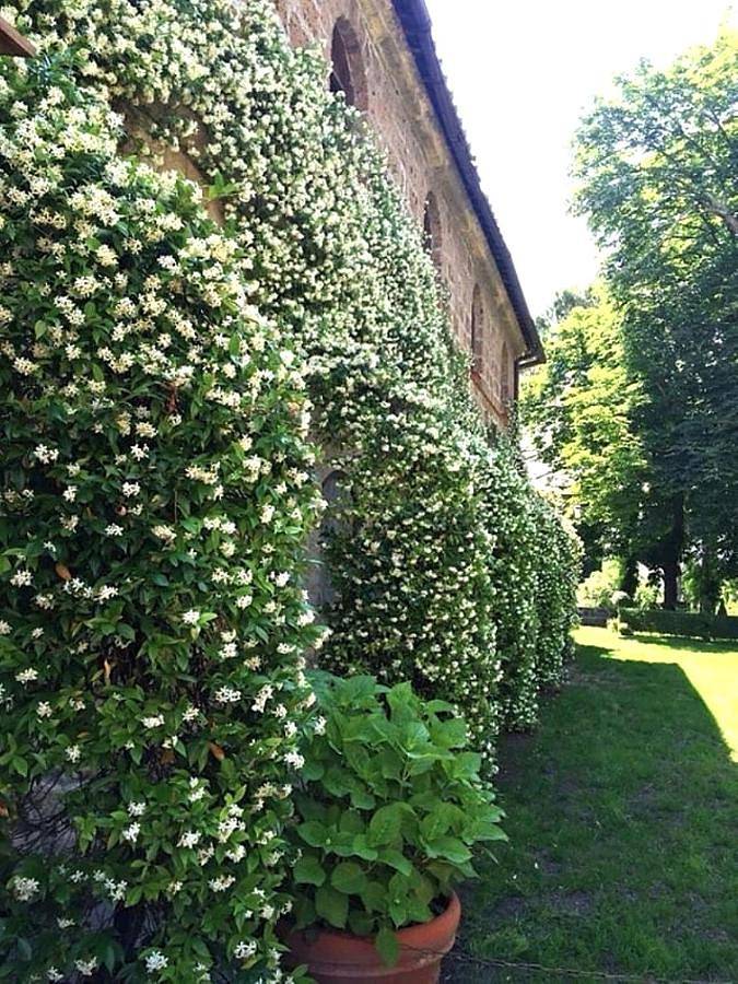 Villa per 12 persone, con piscina e giardino nonché panorama a Bomarzo