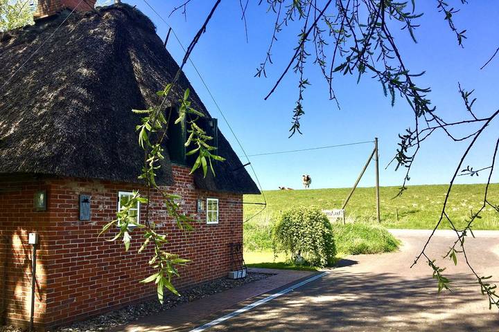 Ferienhaus für 4 Personen, mit Garten in der Husumer Bucht - 2