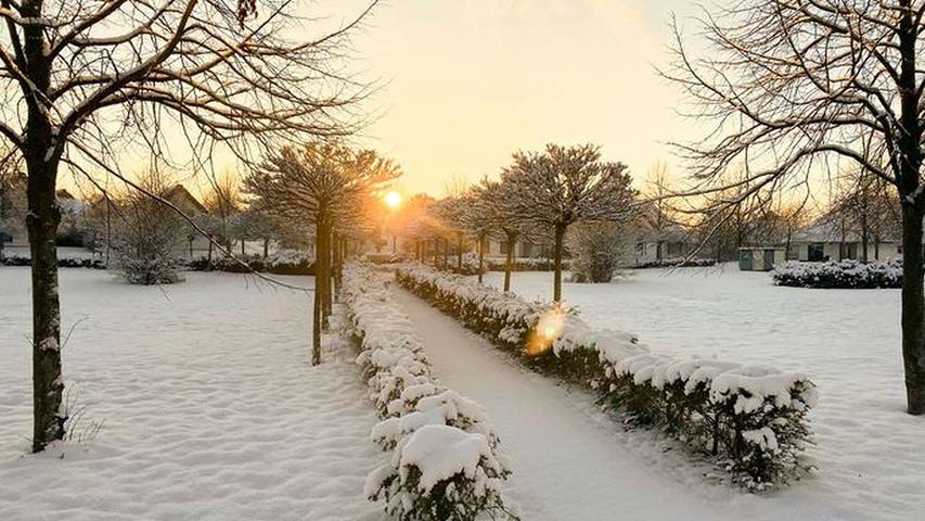 Ferienhaus für 6 Personen, mit Garten und Terrasse, mit Haustier in Dobbin-Linstow - 4