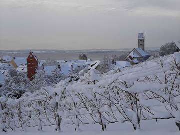 Ferienwohnung für 6 Personen in Meersburg, Obersee (Bodensee), Bild 1