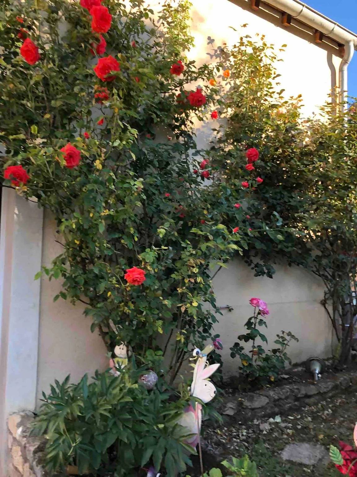 Studio entier, Charmant studio avec terrasse à Chenou, 20 m² in Chenou, Seine-et-Marne