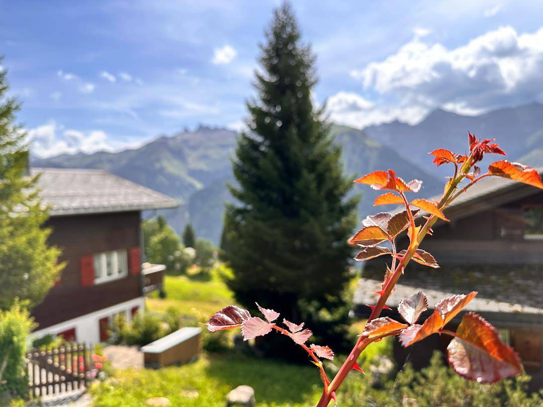 Revier mon désir in Glarus Süd, Kanton Glarus