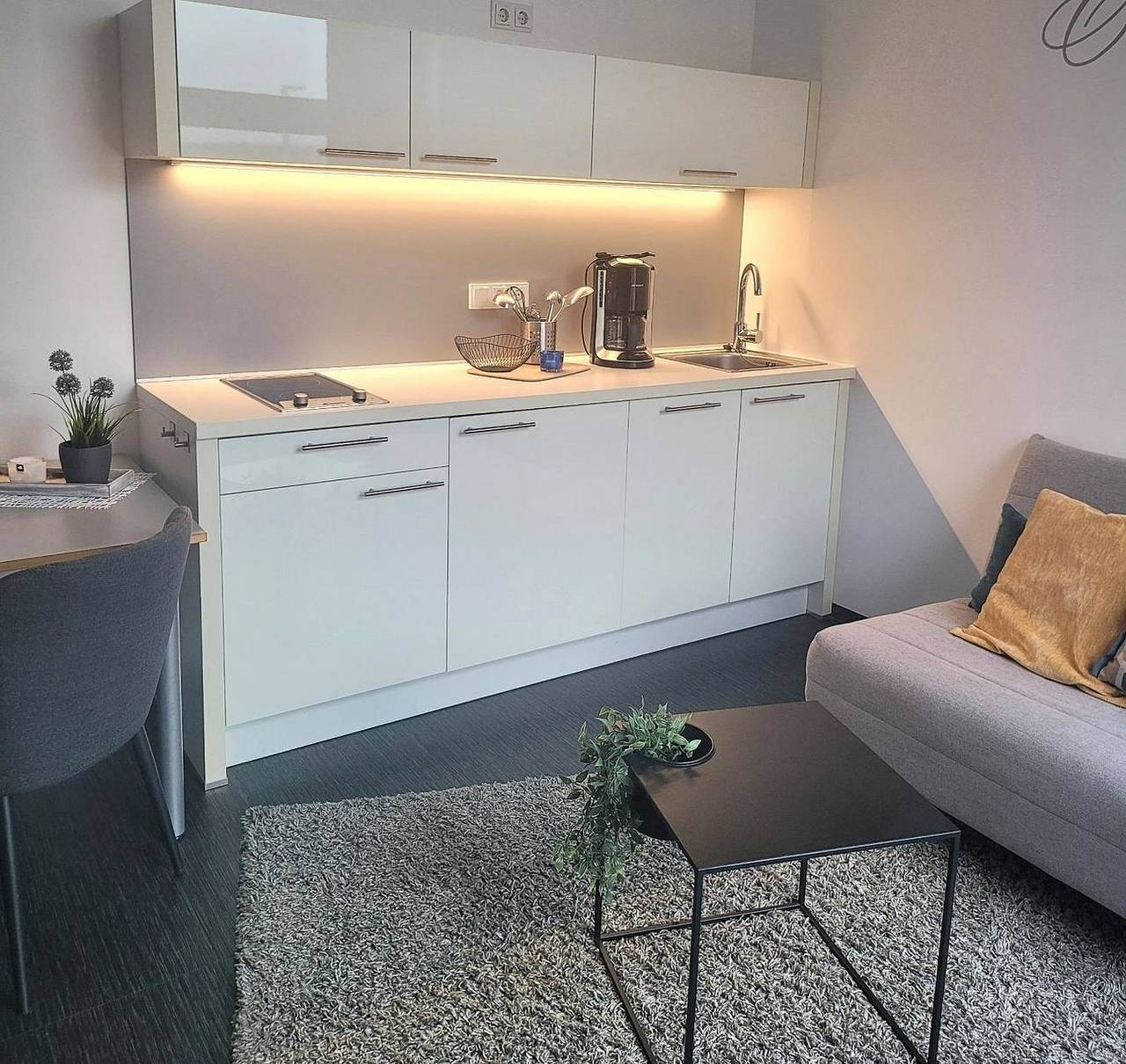 Ganze Ferienwohnung, Studio 1  Grundbelegung 2 Pers. in Geierswalde, Elsterheide