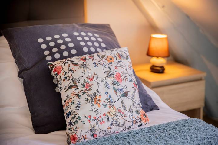 Chambre d’hôte pour 4 personnes, avec Jardin dans Sologne - 3