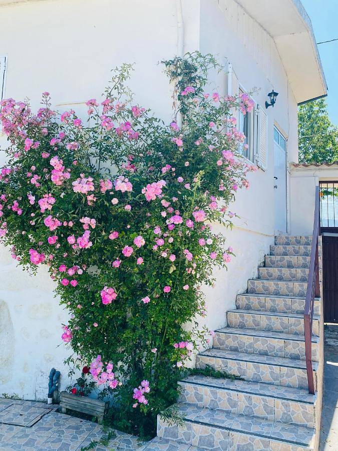 Apartamento inteiro, Apartment in Braga, Distrito de Braga