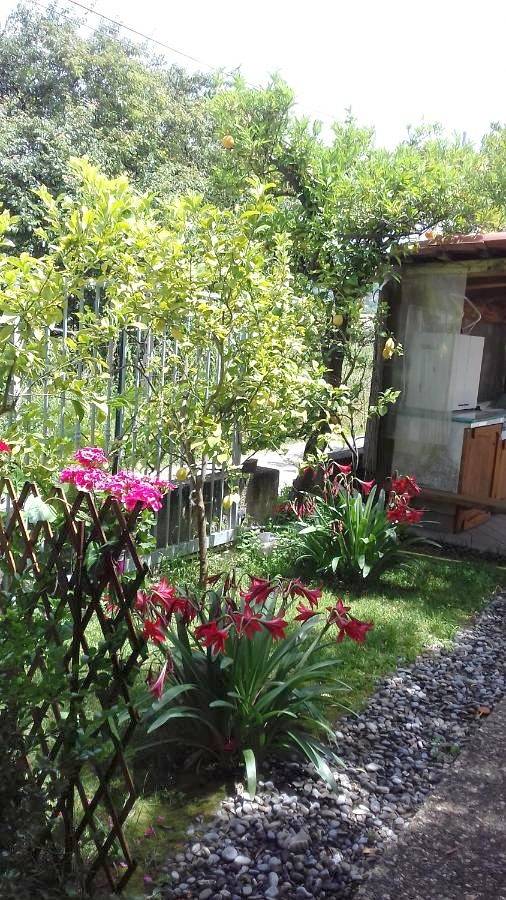 Gîte pour 2 personnes, avec Terrasse ainsi que Jardin et Vue à Santa Marina - 2