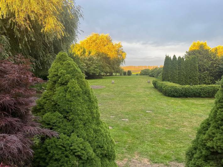 Ferienhaus für 6 Personen, mit Garten und Terrasse in Biendorf - 4
