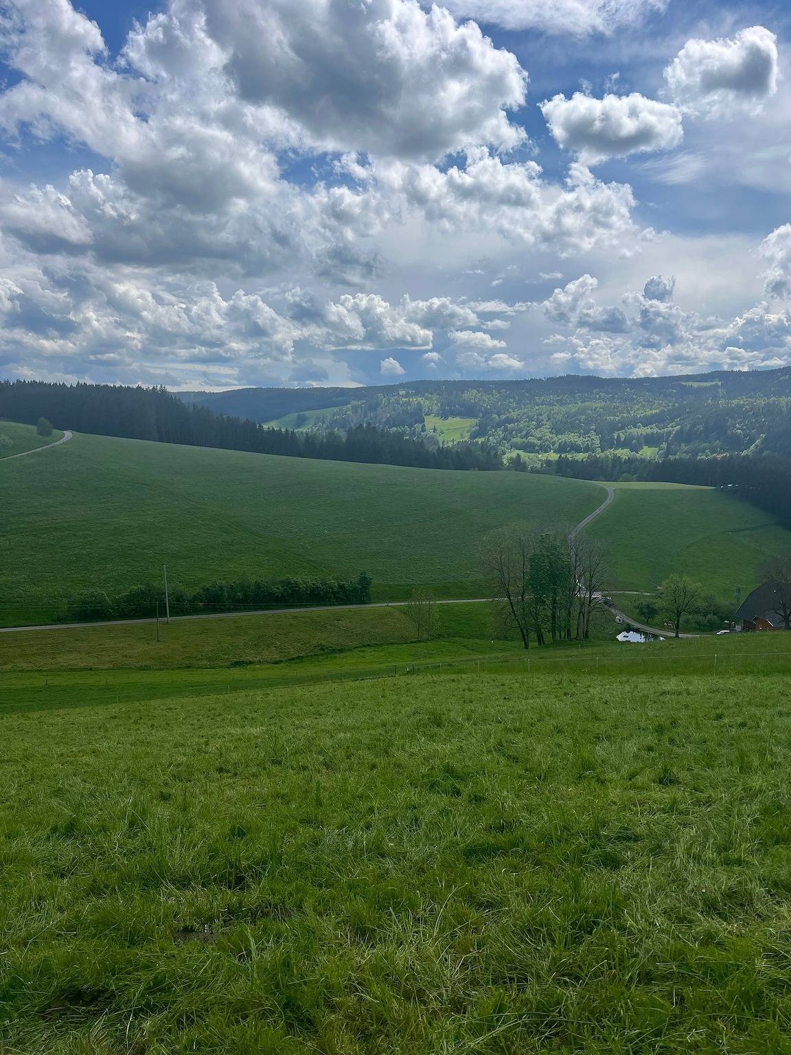 Neueröffnung 2024 Ferienhaus am Kapellenhof mit gemeinsamer Terrasse, gemeinsamem Garten und Wlan in Triberg, Südschwarzwald