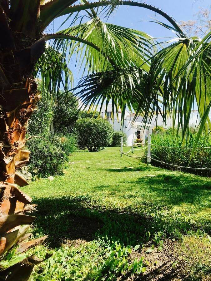 Hôtel pour 3 personnes, avec piscine et jardin dans Bac du sauvage - 2
