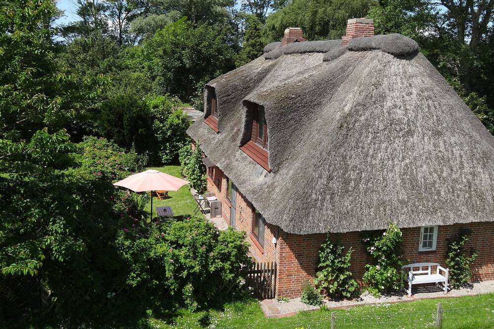 Idyllisches Reetdachhhaus direkt am Eiderdeich für 2 bis 10 Personen in Oldenswort, Eiderstedt