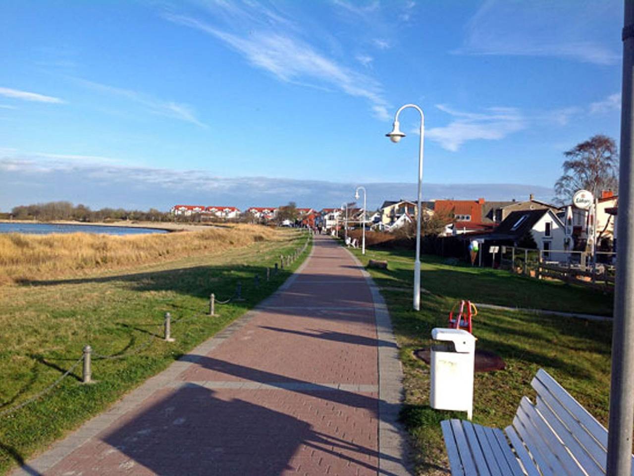 Stranddistel in Ostseebad Glowe, Glowe