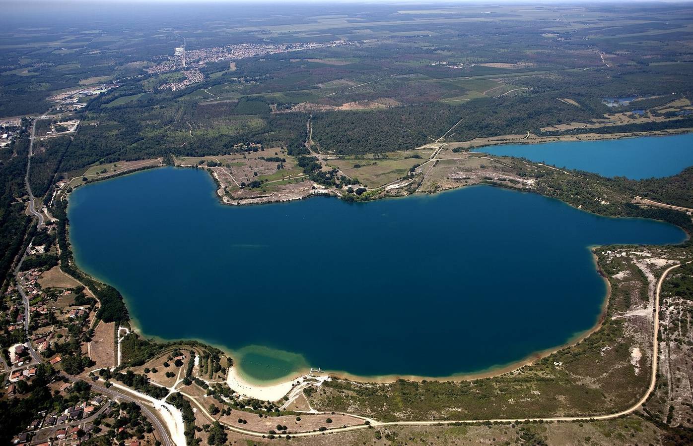 Genets in Morcenx, Landes