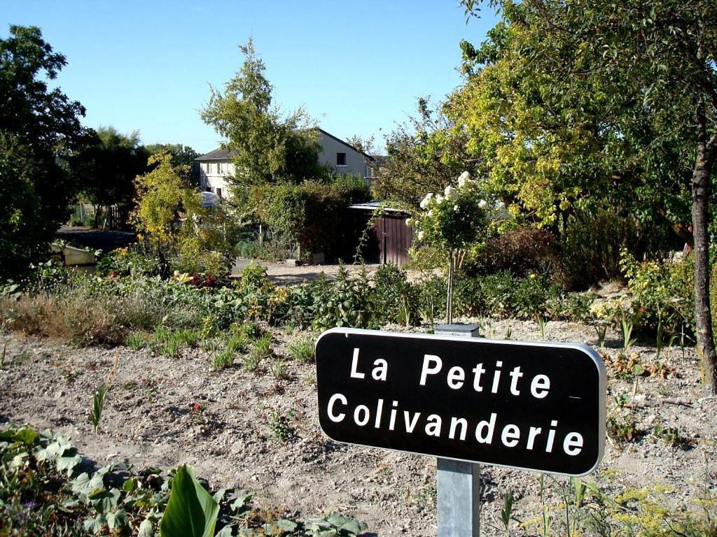 La petite maison bleue in Sossais, Vienne (France)
