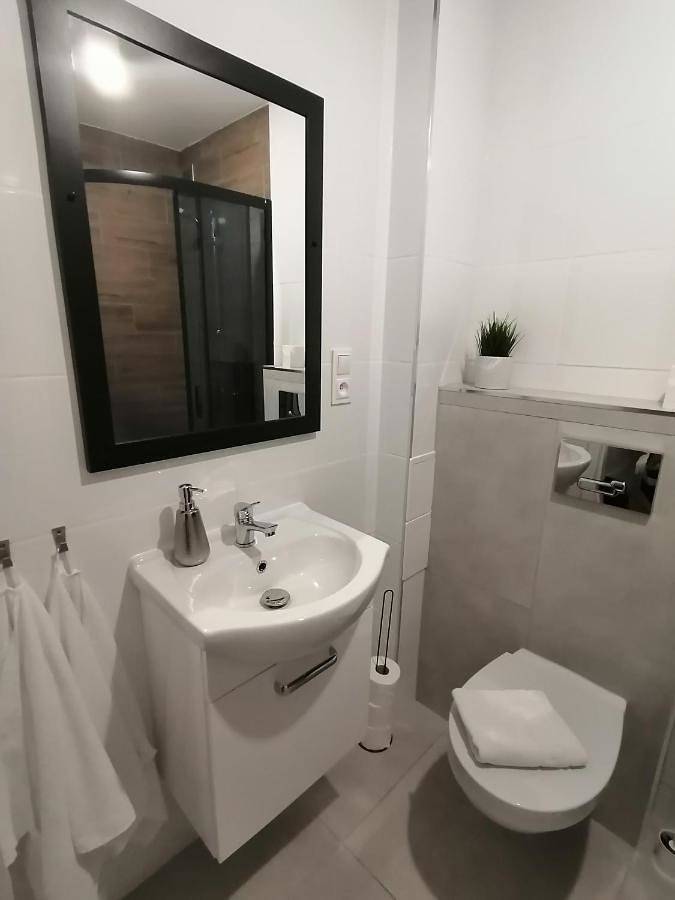 Cały apartament, City Apartments Warszawska in Zgorzelec, Dolny Śląsk