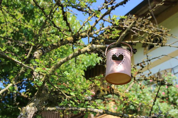 Ferienwohnung für 5 Personen, mit Balkon, kinderfreundlich am Chiemsee - 3