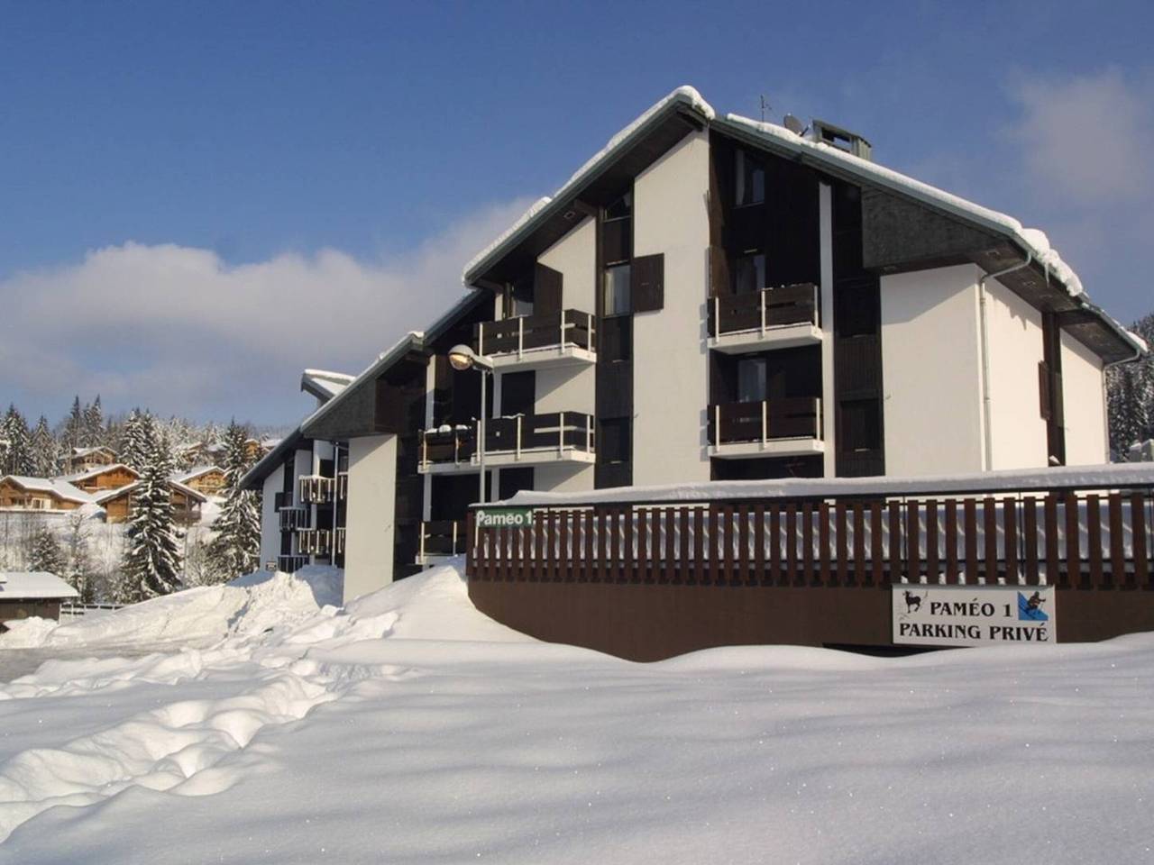 Entire apartment, Les Gets: 1Br, near slopes, parking, shuttle in Les Gets, Les Portes du Soleil