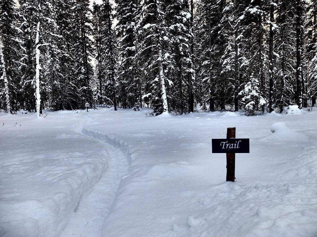 Expanse Cottages - The Cottage Felsen in Kanadische Rocky Mountains