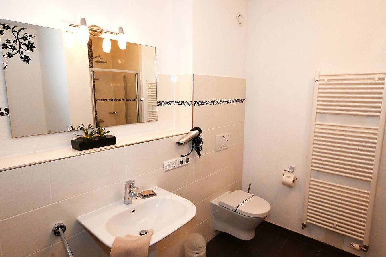 Ganze Wohnung, Bernstein Mare-Luxor Apartment 2 mit Wellnessbereich in Büsum, Dithmarschen