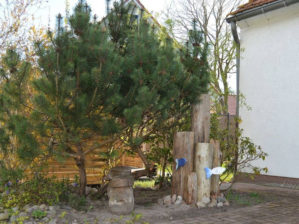 "Zwei Eichen Ⅱ" in Dierhagen, Fischland - Darß - Zingst