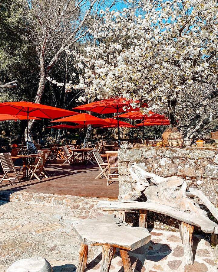 Auberge De La Foret Bonifatu in Calenzana, Parc naturel régional de Corse