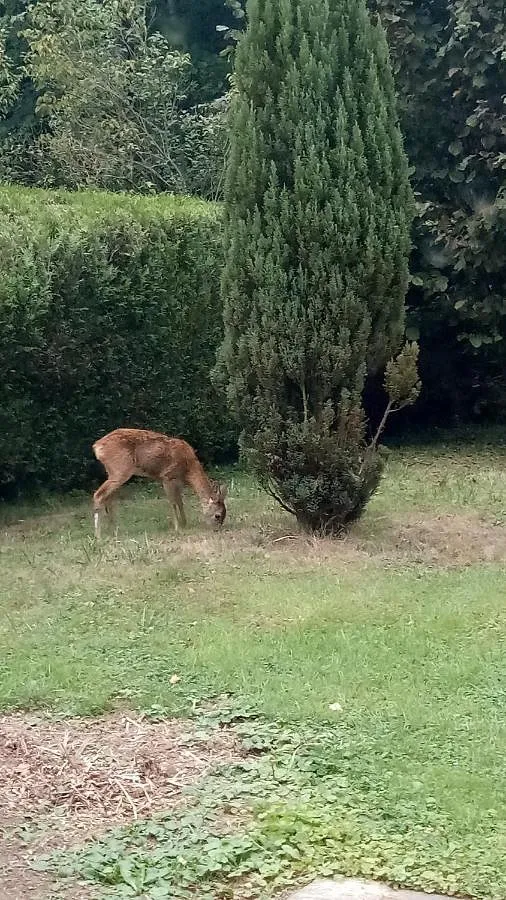 Maison de vacances pour 11 personnes, avec piscine et vue, animaux acceptés - 1