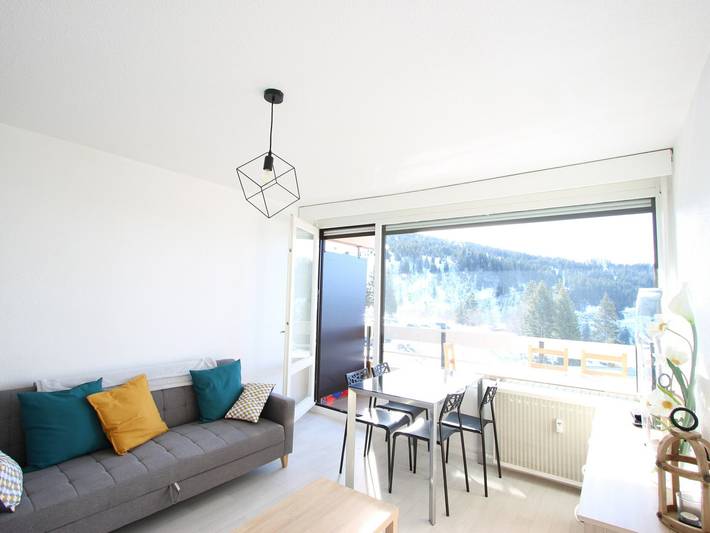 Studio pour 4 personnes, avec terrasse, animaux acceptés dans l' Isère