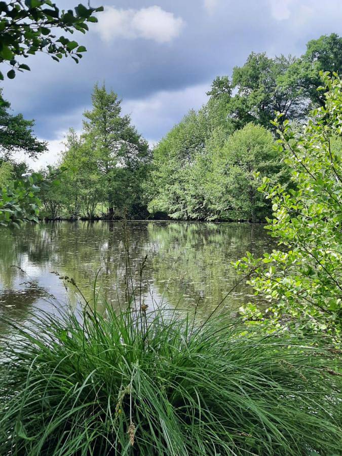 Location de vacances pour 3 personnes, avec vue et jardin ainsi que terrasse et vue sur le lac dans Javerdat - 4