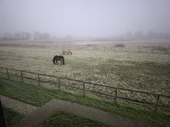Gîte pour 4 personnes, avec jardin ainsi que piscine et vue, animaux acceptés à Saint-Loubès - 3