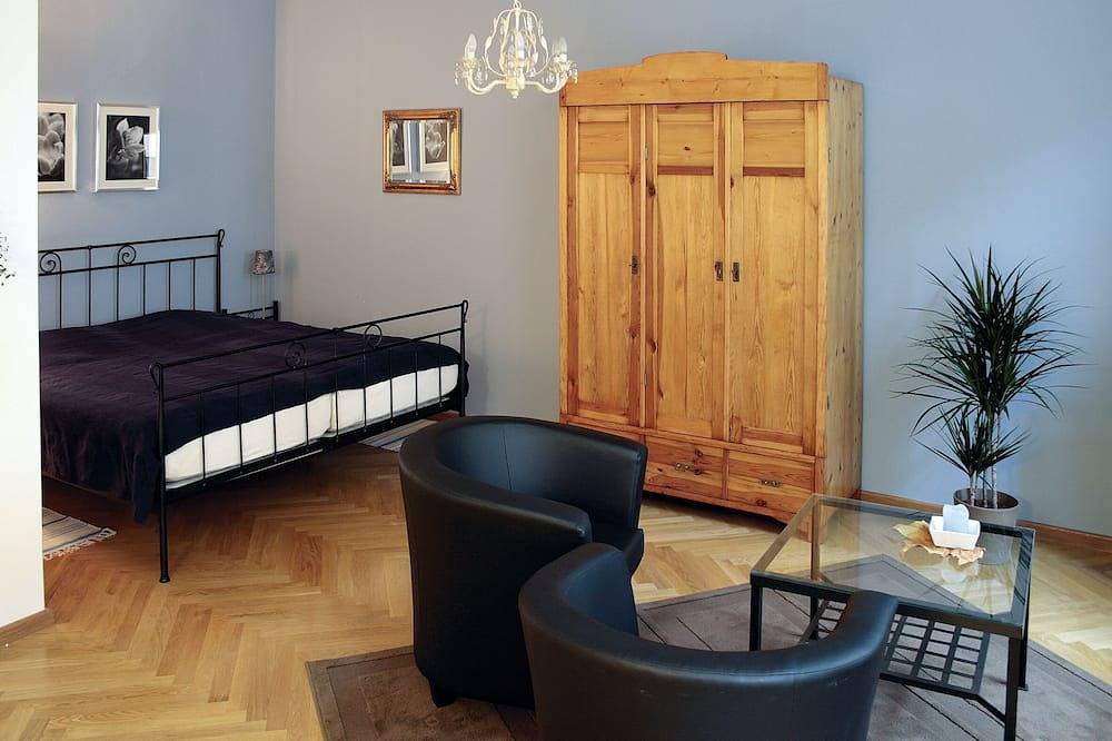 Ganze Wohnung, Ein-Raum-Appartement in Dresden-Neustadt, Dresden