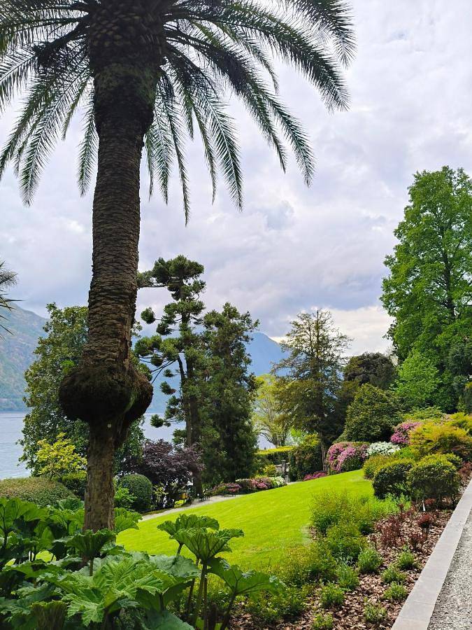 Gîte pour 4 personnes à Maslianico - 2