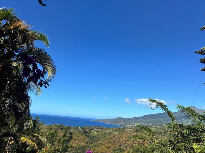 Gîte pour 2 personnes, avec jacuzzi et jardin à Le Carbet - 2