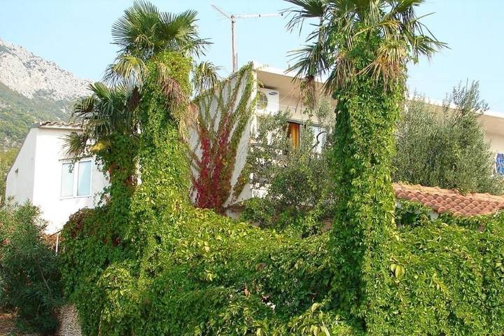 Ganze Wohnung, Studio Appartement mit Balkon Gradac, Makarska As-24960-a in Gradac, Makarska Riviera