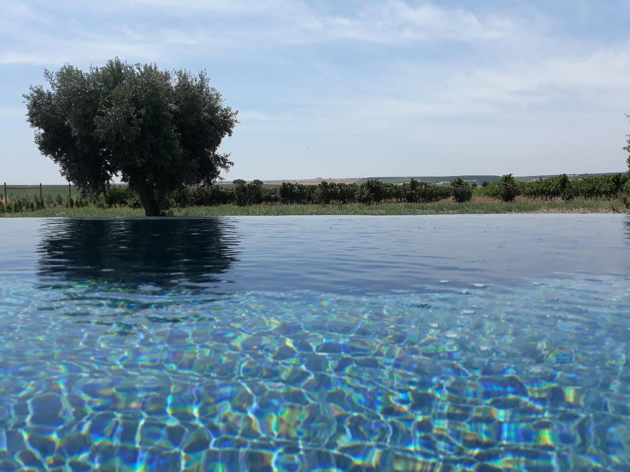 Terras Agroturismo & Vinhos in Serpa, Distrito de Beja