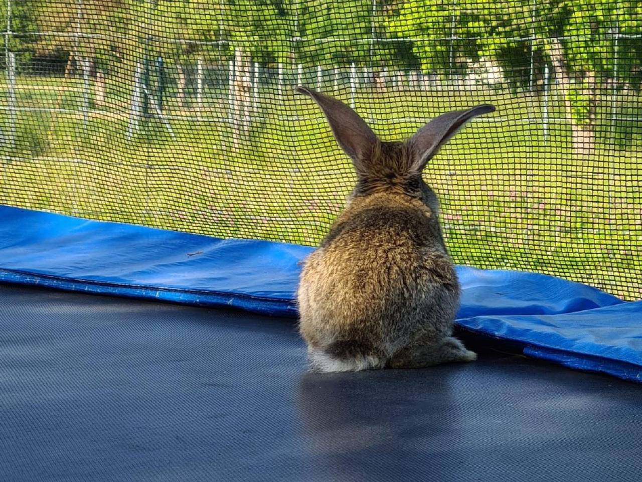 Ganze Ferienwohnung, Ferienwohnung Högel - Appartement/Fewo, Dusche oder Bad, Wc in Naumburg, Saale-Unstrut
