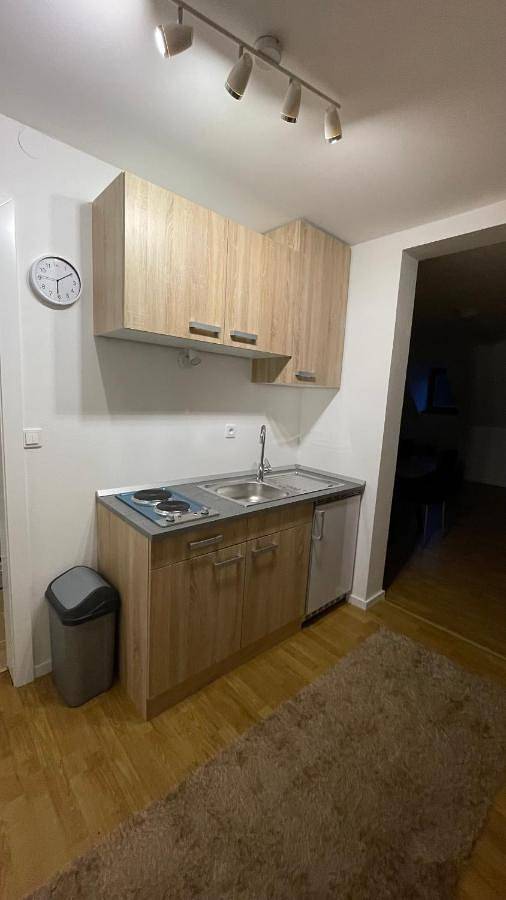 Gîte pour 5 personnes à Zagorje ob Savi - 2