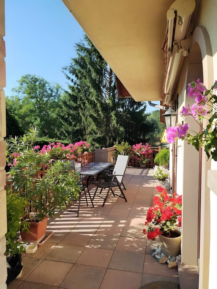 Ferienwohnung für 4 Personen, mit Balkon und Garten, kinderfreundlich im Elsass - 2