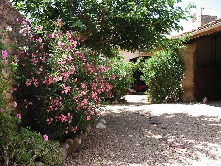 Chambre d’hôte pour 4 personnes, avec jardin à Lespignan