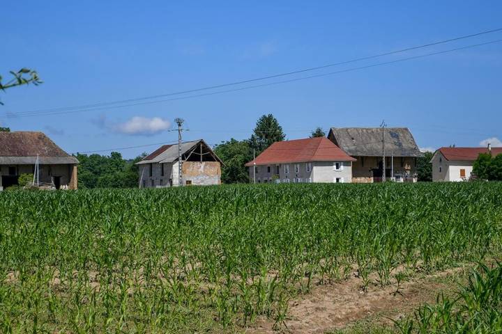 Gîte pour 2 personnes, avec jardin et vue à Pressins - 3
