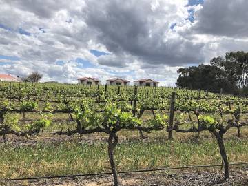 Cottage for 2 People in South Australia, Australia, Photo 3